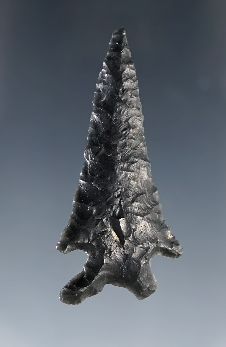 1 11/16" Elko Earred that is nicely styled. Found in Oregon. Ex. C. L. Pugh Museum. 