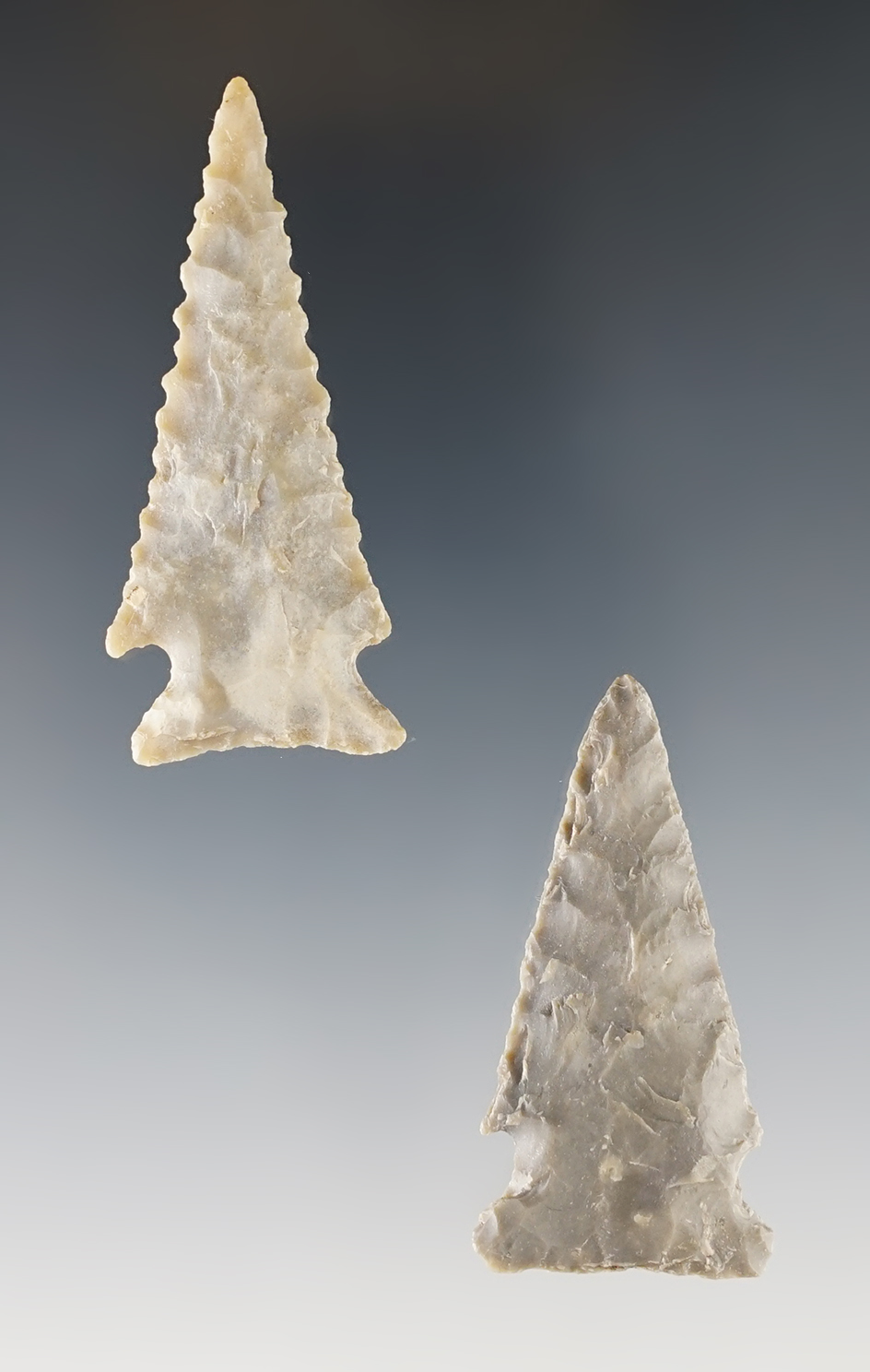 Pair of nice Ensor Points found in Texas. The largest is 2 1/8".