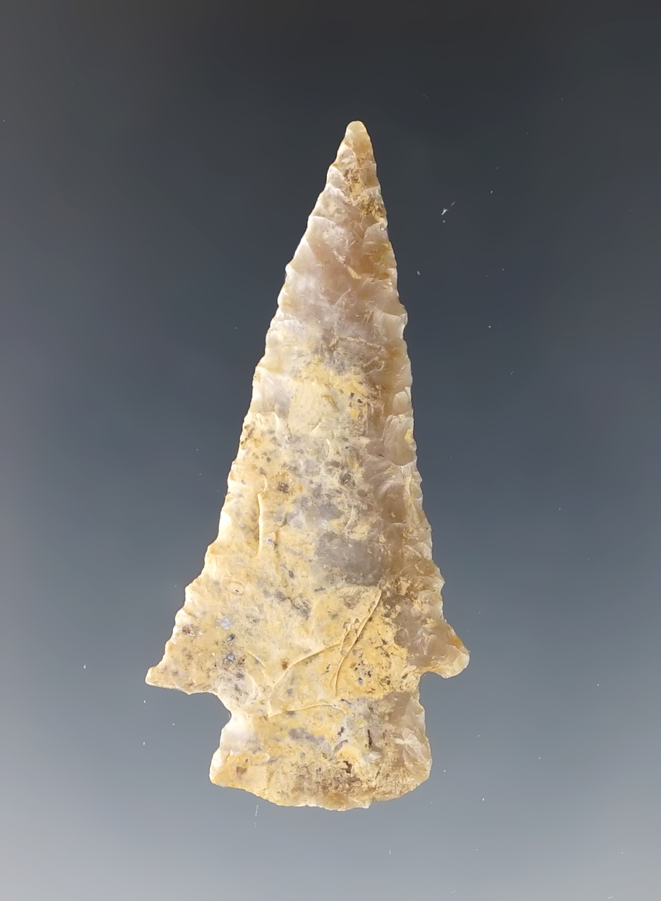 Nicely made 2" Samantha Dart made from colorful Agate. Mesa Colorado. Jackson COA.