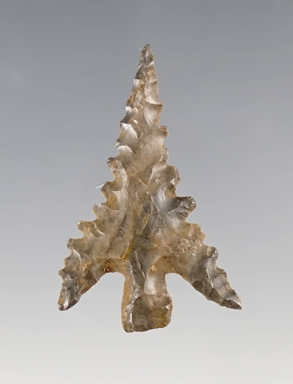 Incredible serrations on this 1 3/16" Gunther Barbed found in Shasta Co., California in the 1940's.