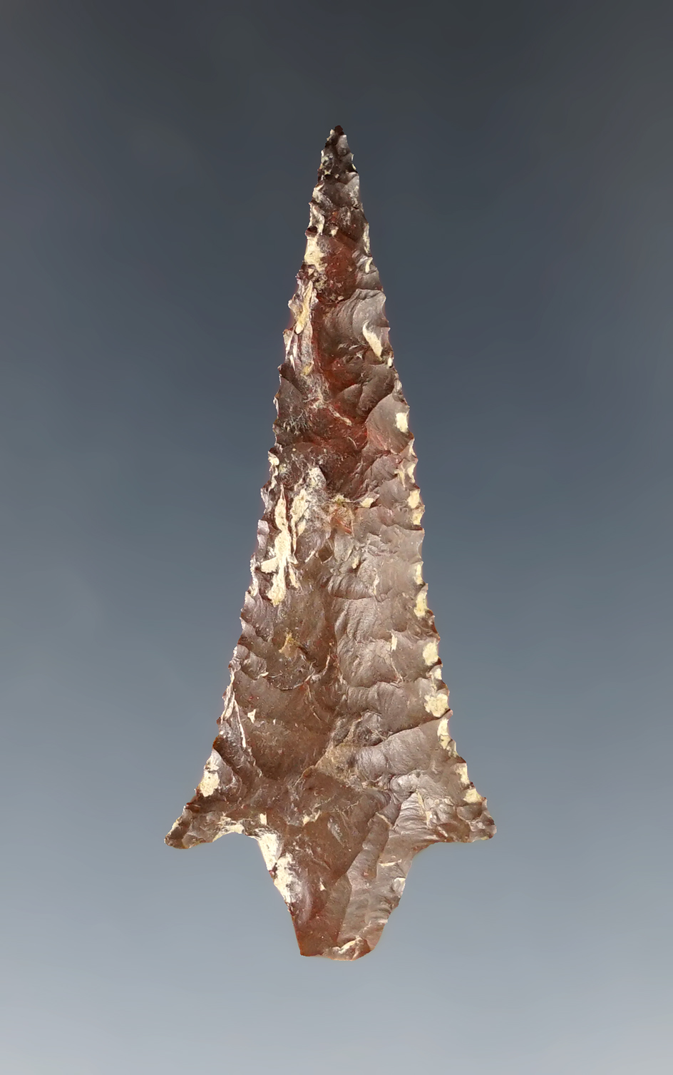 1 3/4" Rabbit Island that is very nicely patinated. Found near the Columbia River.