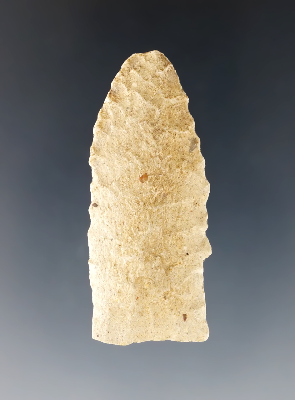 2" Scottsbluff found on private property by the G. Cattle Co. in Mesa Co., Colorado. Stermer COA.