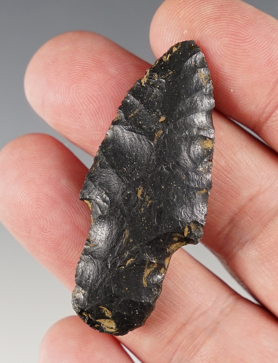 Exceptional 2 1/16" Parman Type 1 found Daryl Baker in Lake Co., Oregon. Stermer COA. Ex. Hardie