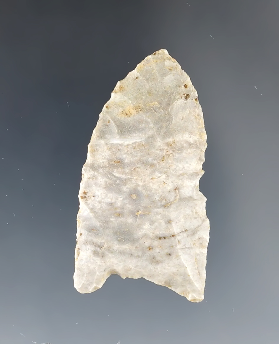 Rare material for type! 1 3/4" Paleo Fluted Clovis - Indiana Green. Found in Wabash Co., Illinois.