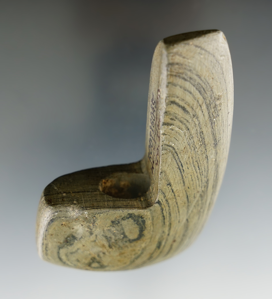 3 1/4" Geniculate found in Huntington Co., Indiana. Pictured!  Comes with a Davis G-9 COA.