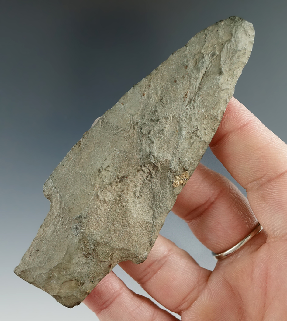 4" Stemmed Archaic point made from rhyolite found in New York.