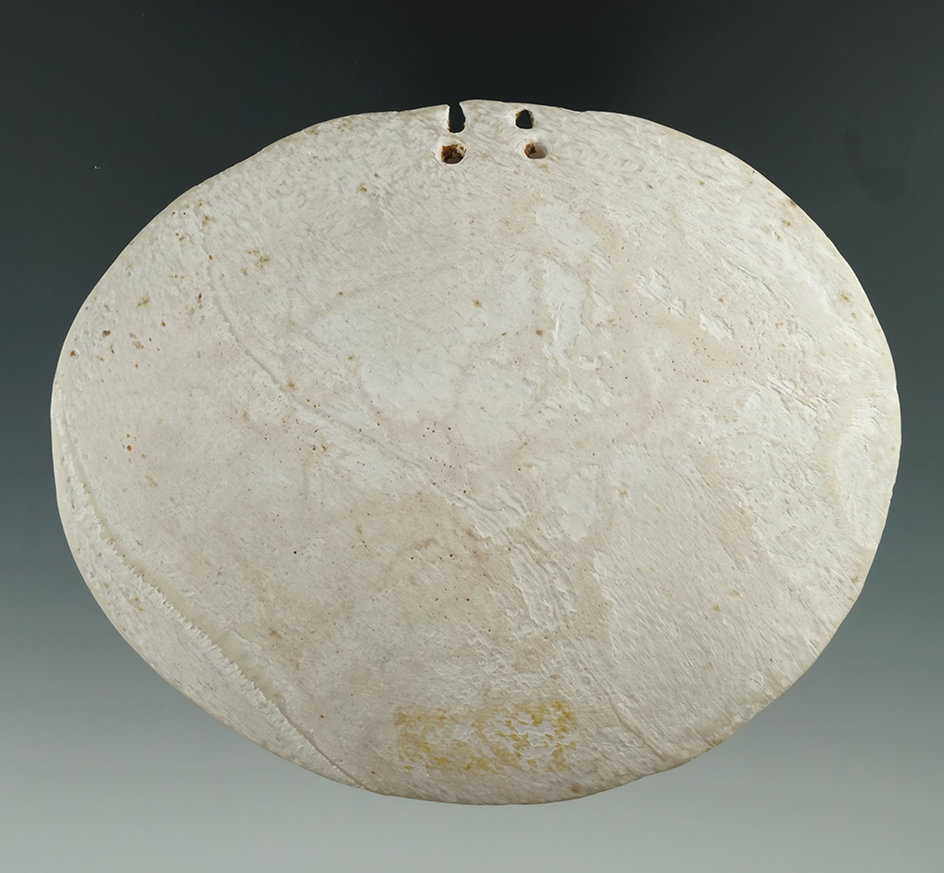 4 13/16" diameter four hole shell pendant/gorget found in Cayuga Co., New York.  Ex. Chapman.