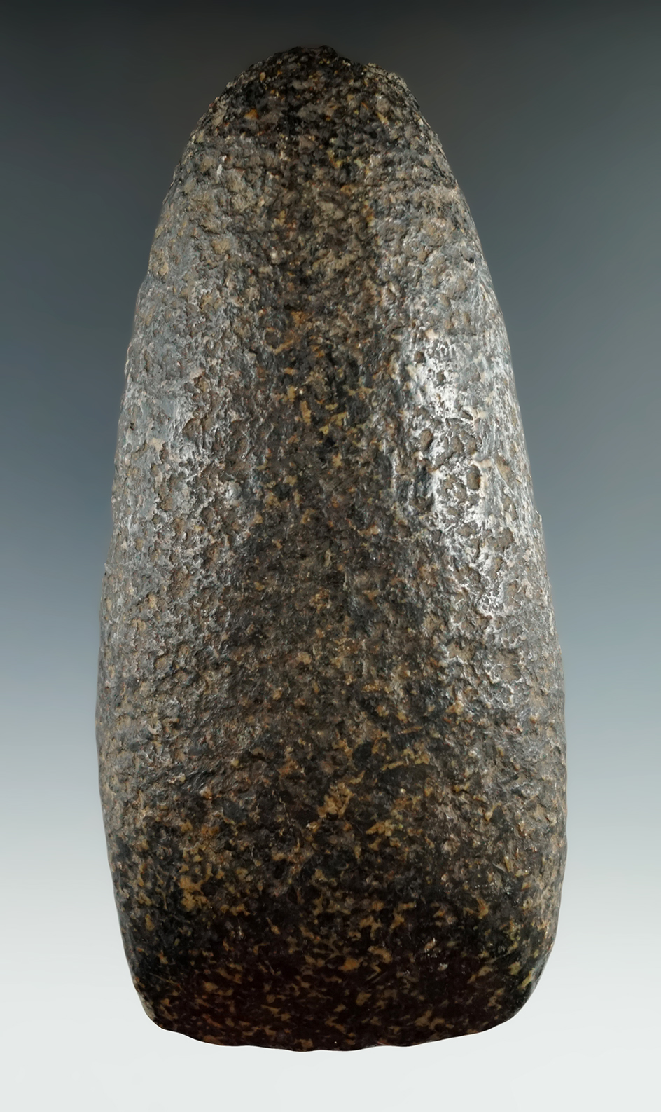 5 1/16" hardstone Celt found near Churchville, Herkimer Co., New York in very nice condition.