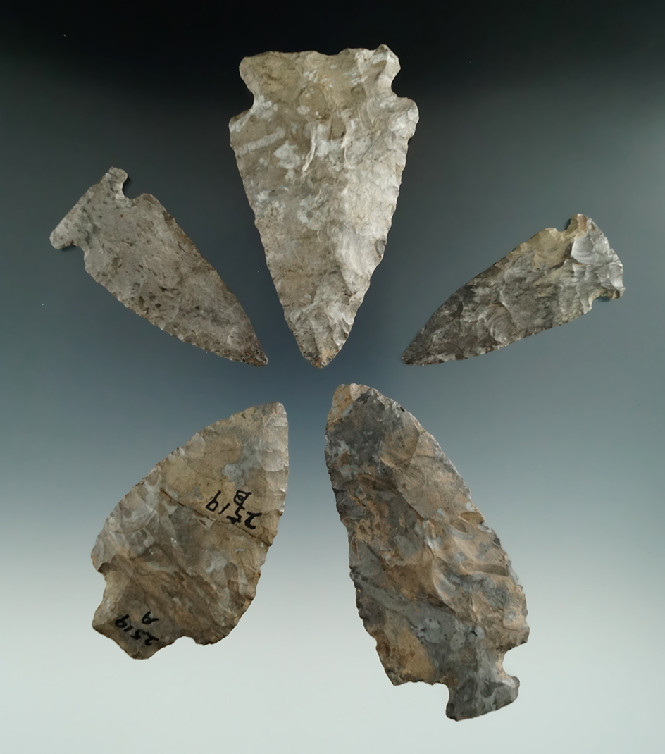 Set of five New York points in his 3 5/8".