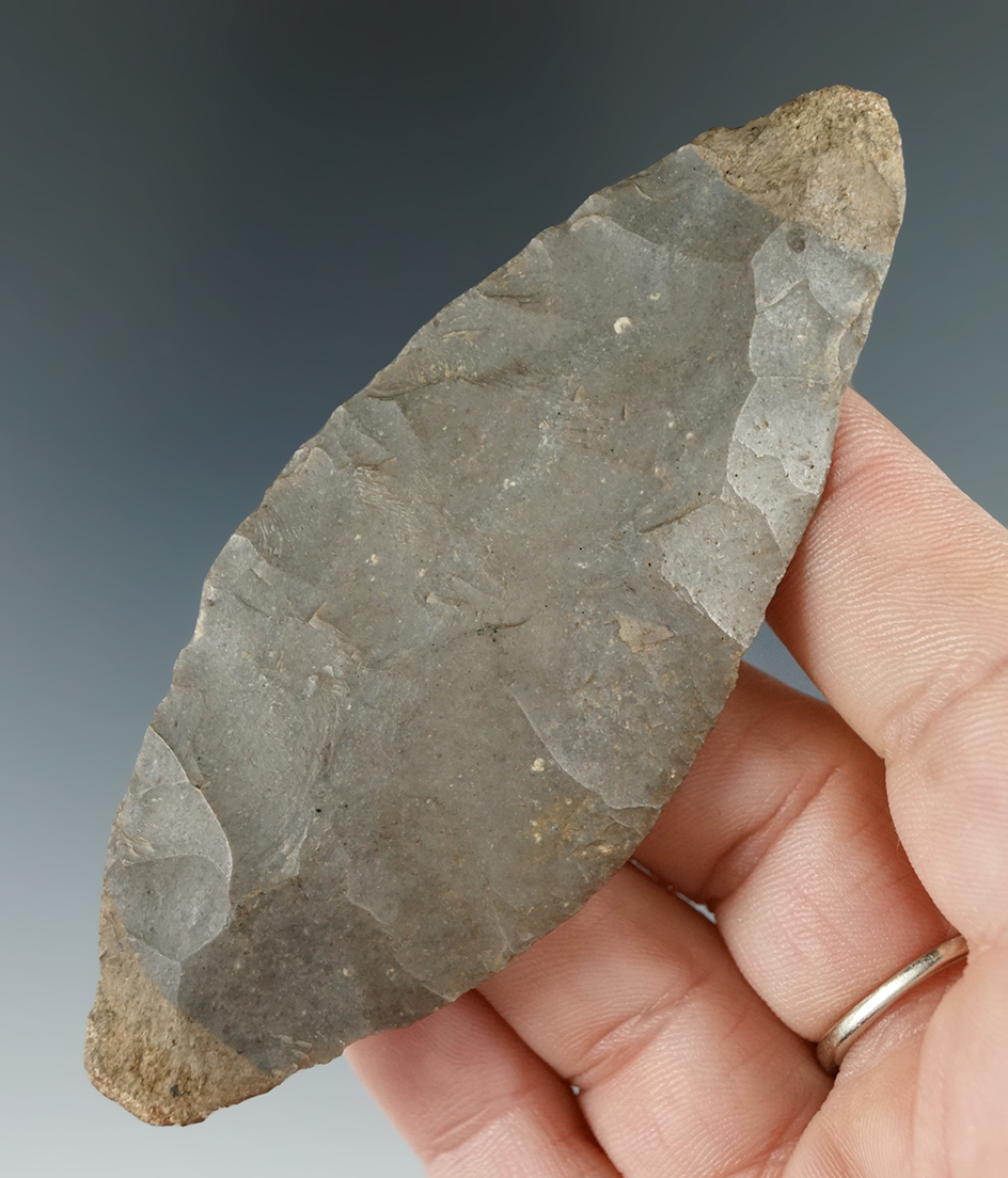 3 5/8" Hornstone Turkeytail found in Niagara Co., New York.