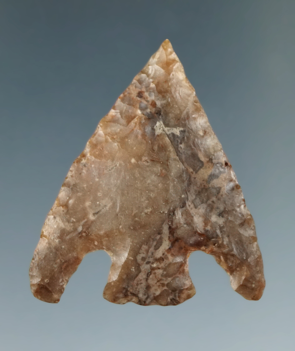 1 7/16" Basal Notch found in New York.