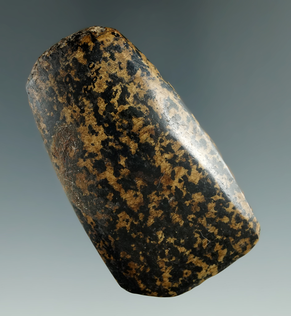 Nice! Highly polished 2 5/8" miniature Celt found in Livingston Co., New York.   Ex. Howdy Lang.