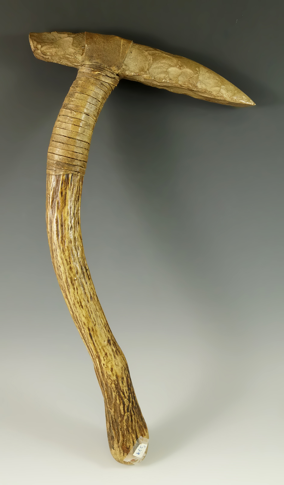 7 1/2" Flint Adze hafted to an antler handle. Adze is authentic, unkown when hafted.