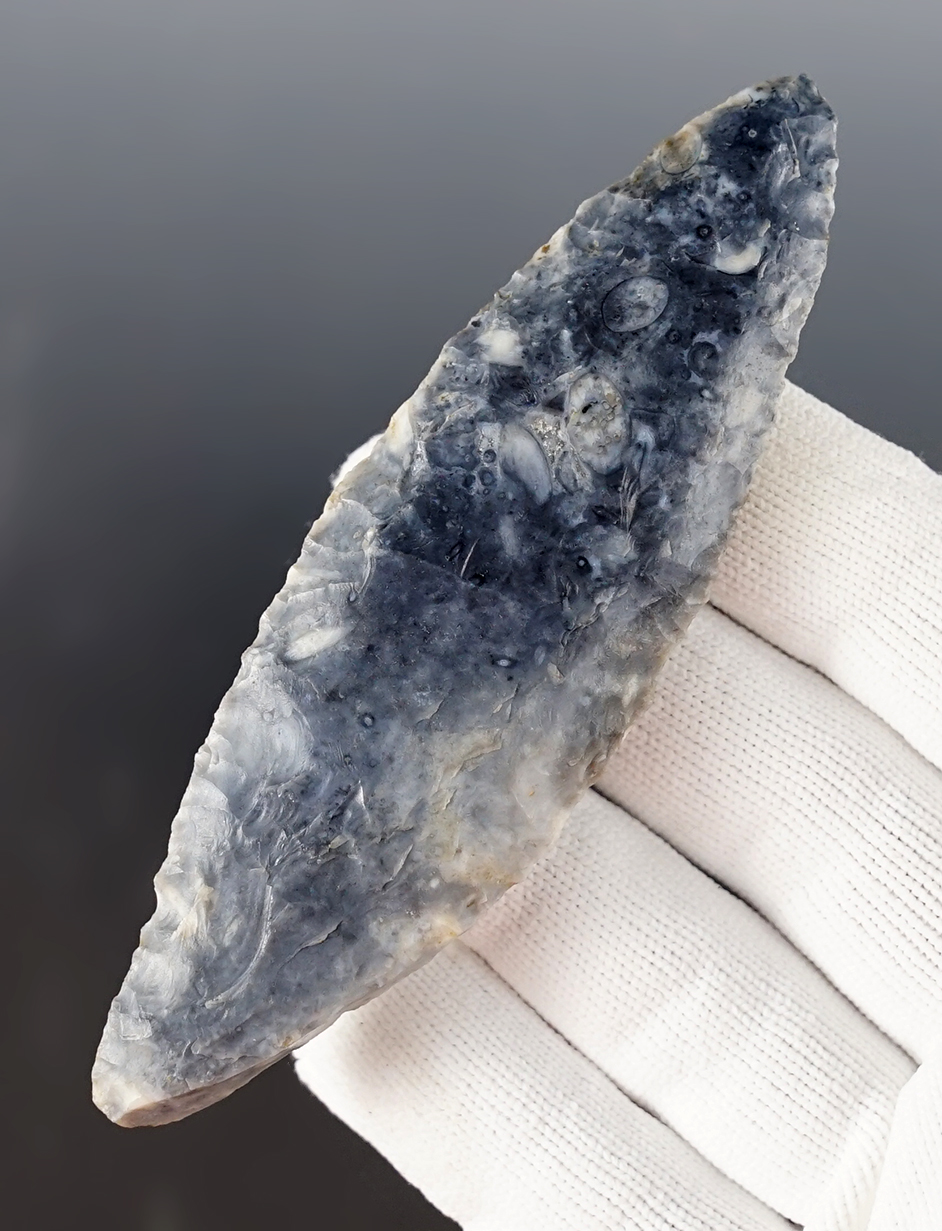 Colorful 4 3/16" Cordilleran Blade. Found by Don Rowlett, Case Ranch, Elmira, Lane Co., Oregon.