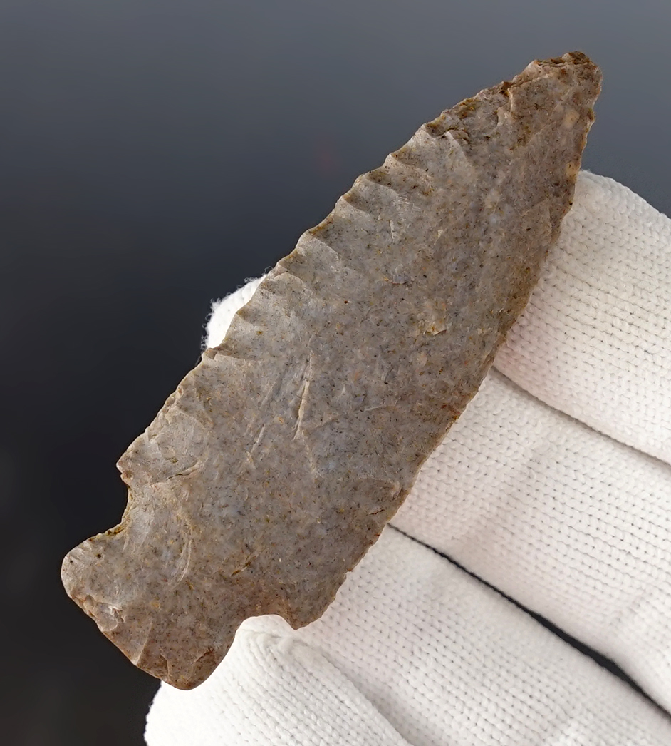 2 5/8" Stemmed point with grinding to the basal area. Found in Logan Co., Kentucky.