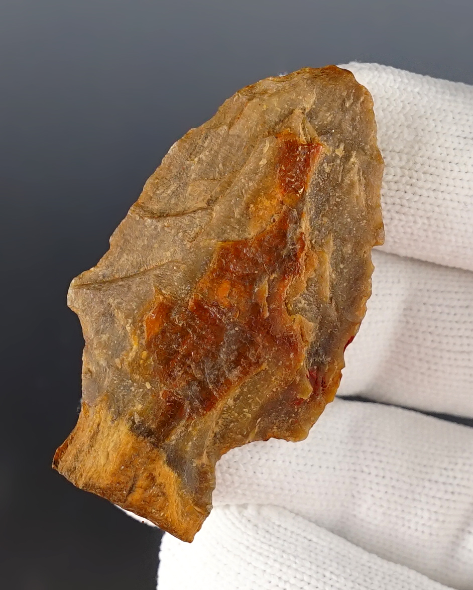 2 1/8" Stemmed Knife found in Texas. Made from colorful Petrified Wood.