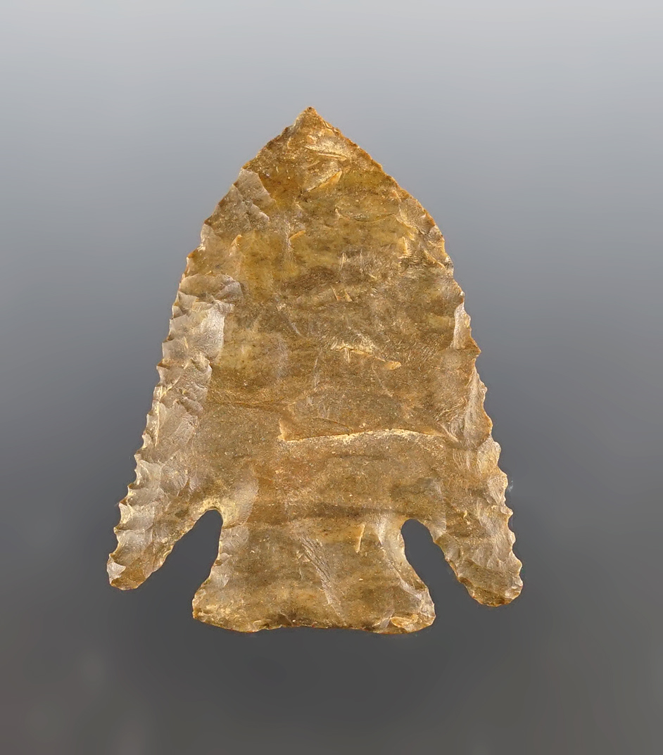 2 3/16" Lost Lake found by Leslie Churchwell in Lauderdale Co., Alabama. Ex. Dickey COA.