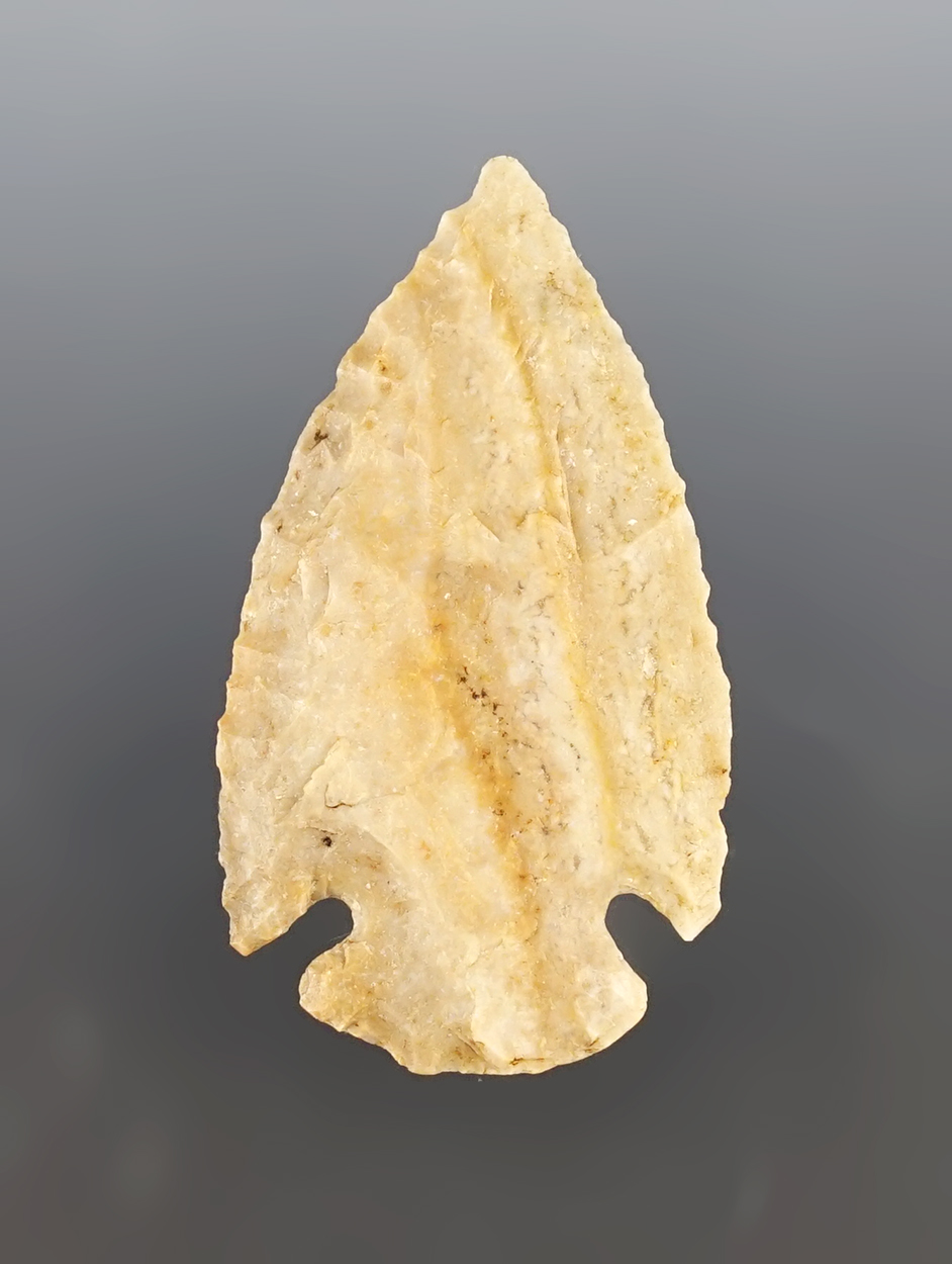 2 1/4" multi-colored Dovetail found in Illinois. Nice grinding to the base. Bennett COA.