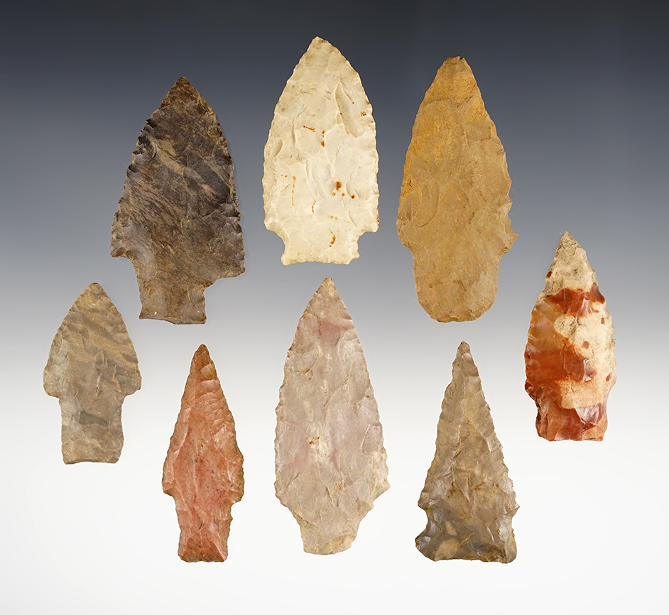 Set of 8 assorted points found in the Kentucky/Tennessee area. The largest is 2 1/2".