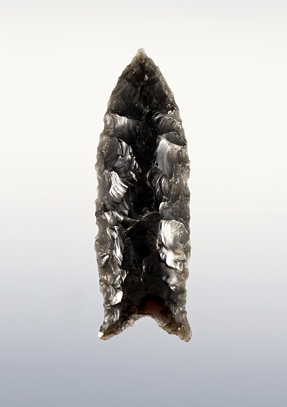 Nice 2 1/8" Buchanan made from Obsidian. Found in Oregon.