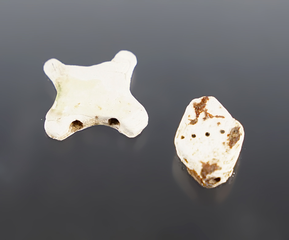 Pair of Runtee Beads found around Upper Cayuga, New York at the Great Gully Site. 