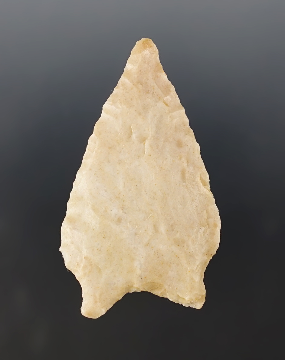 Nice 2 5/16" San Patrice found in southern Arkansas. Comes with a Rogers COA.