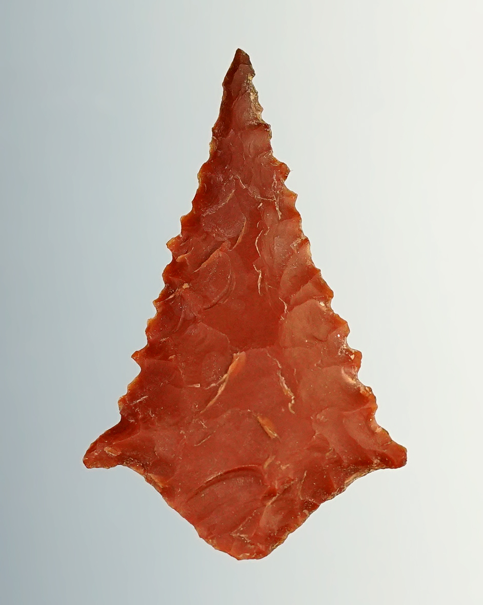 1 5/16" finely serrated Rabbit Island found close to the Columbia River in the 1960's.