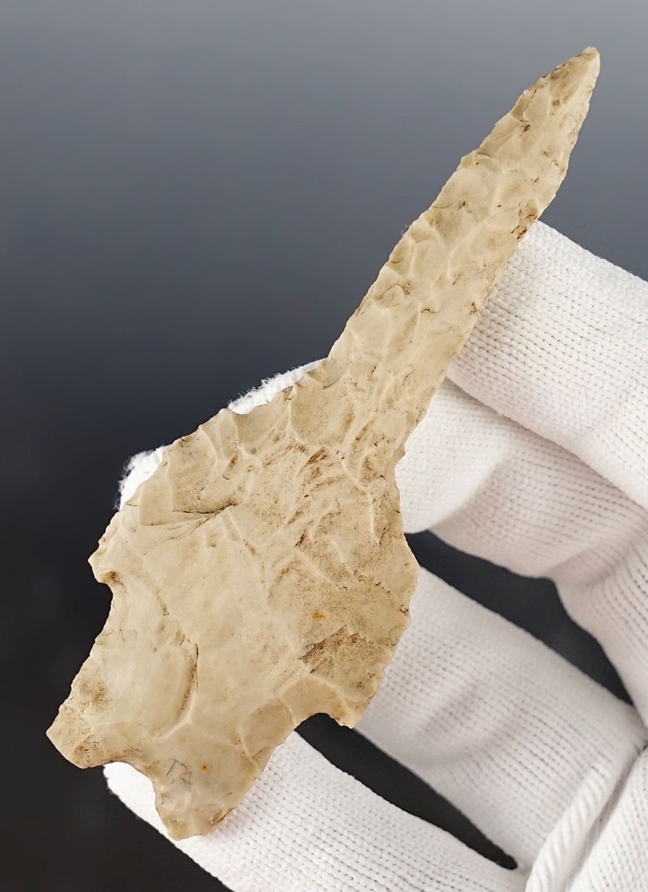 Outstanding 3 3/4" Pedernales Drill found in Coryell Co., Texas. Comes with a Rogers COA.