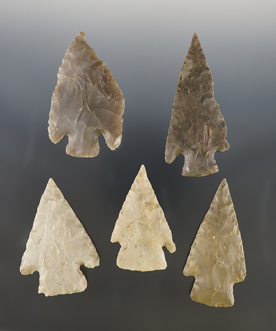 Set of 5 nice assorted Texas points. The largest is 3". Certificate of Museum Deaccession. 