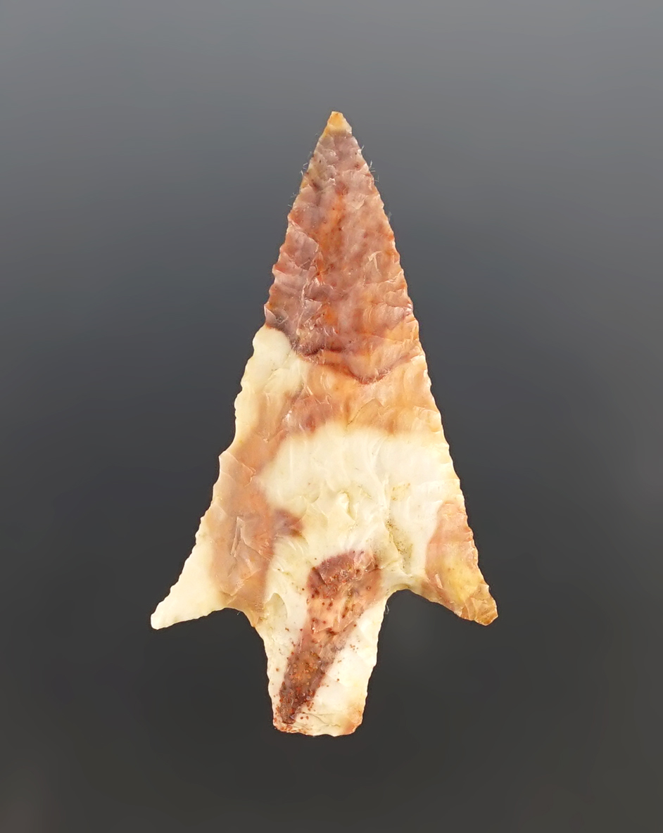 Colorful and very fine 1 13/16" Rabbit Island found near the Columbia River in the 1960's.