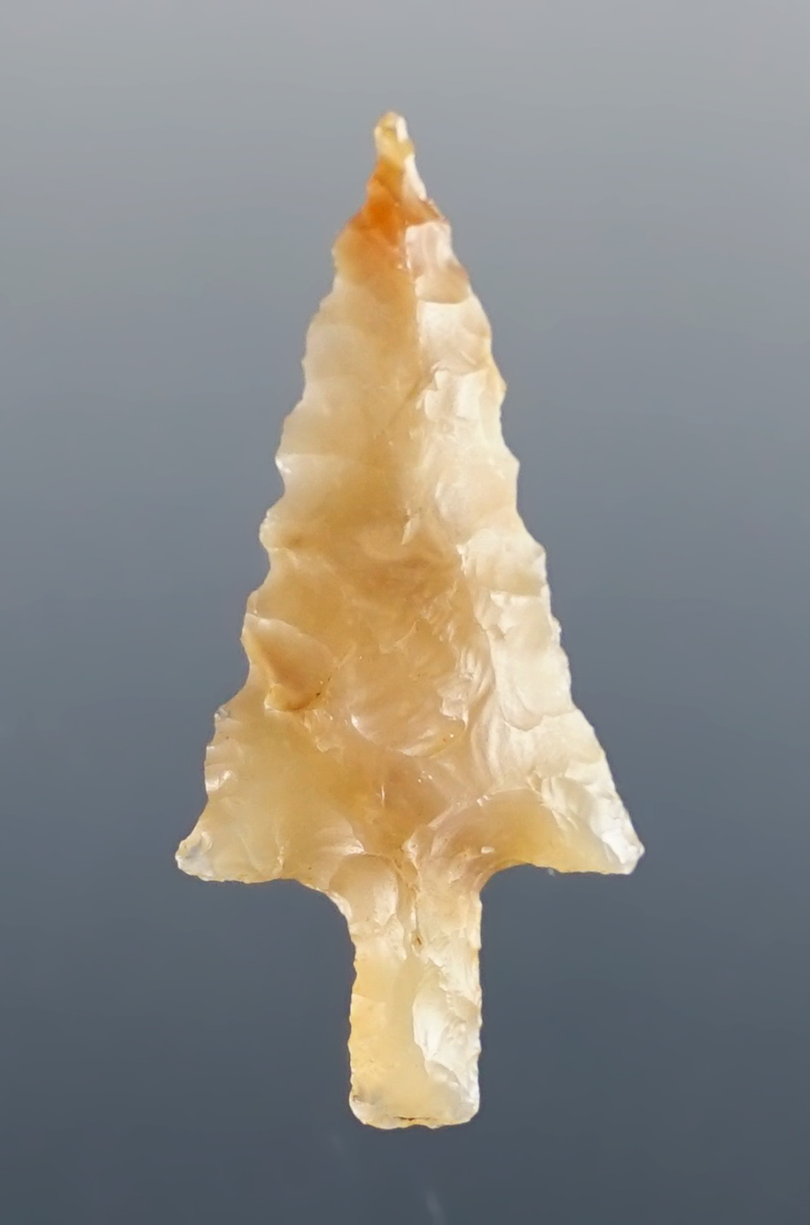 1 1/8" Agate Wallula found near the Columbia River, Washington/Oregon area. Stermer COA.