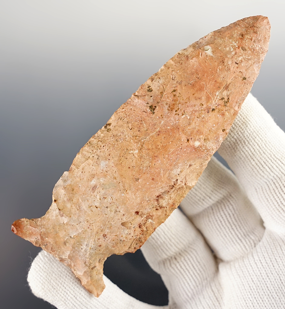 Colorful 3 7/8" Stilwell found in Calhoun Co., Illinois. Nicely made from Burlington Chert. COA.