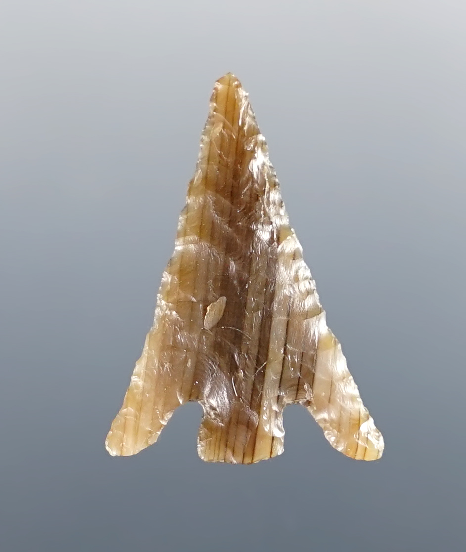 1 1/8" Columbia Plateau found in Washington. Made from Petrified Wood. Bennett COA.