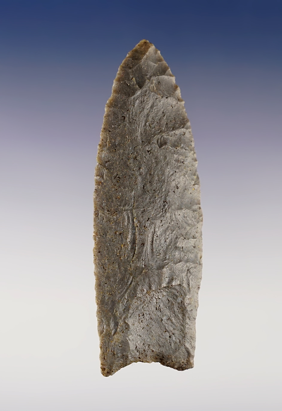 Superb! 3 7/16" Paleo Fluted Clovis found in Carroll Co., Kentucky. Partain and Davis (G-9) COA's.