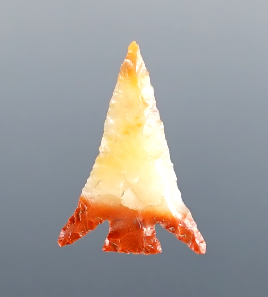 Thin and finely made Columbia Plateau found in Washington. Made from Chalcedony. COA.