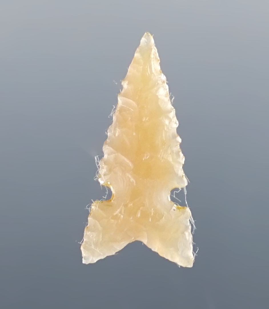 Exceptional flaking on this 3/4" desert Sierra found near the Columbia River in the 1960s. 