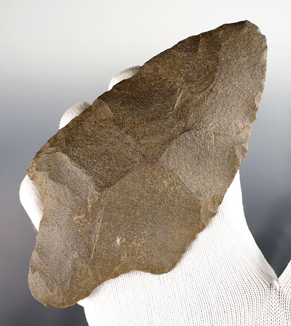 Large 5 13/16" Morrow Mountain found in North Carolina. Made from Quartzite. Motley COA.