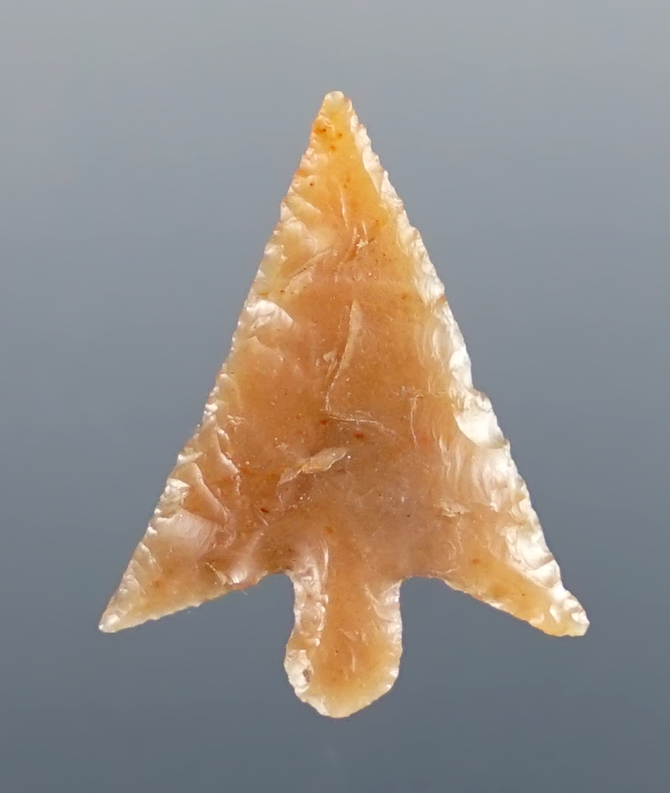 7/8" Columbia Plateau in excellent condition. Found in Washington. Comes with a Bennett COA.