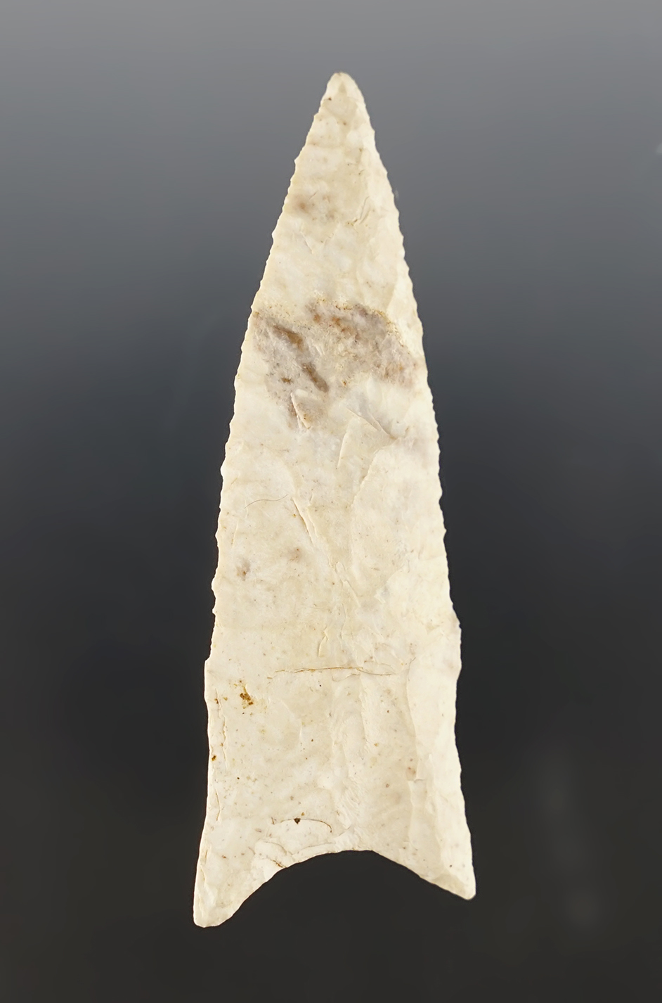 Exceptional! 2 15/16" Dalton that is well styled. Found in Columbia, Missouri. Ex. D. Davidson.