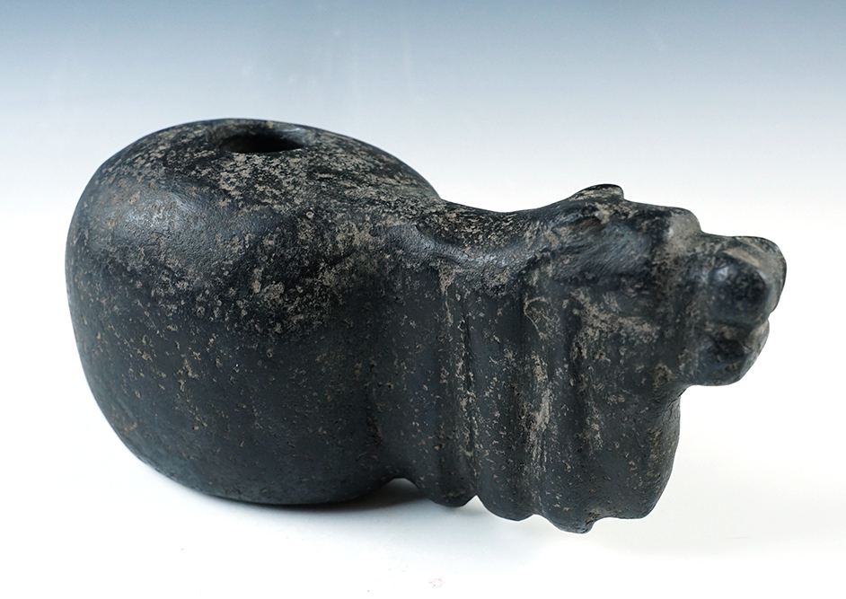 Huge 7 1/4" long by 3 1/4" tall well defined Hematite Alpaca Canopa made from Hematite. COA. 