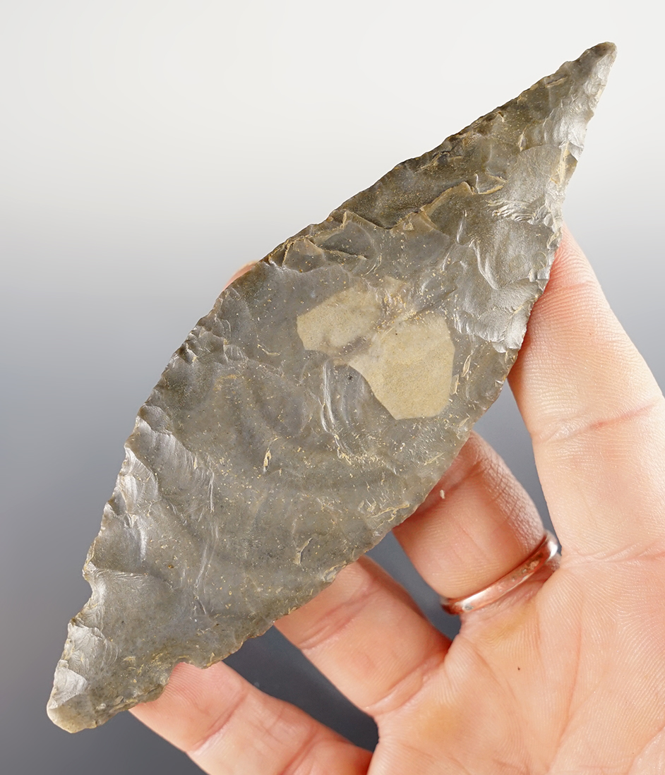 4 13/16" Hornstone Turkey Tail found in Union Co., Indiana. Ex Robert Klan collection.