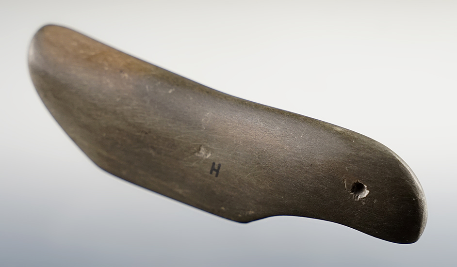 3 9/16" Birdstone found in Hancock Co., Ohio. Tom Davis notes that the eyes may be modern. 