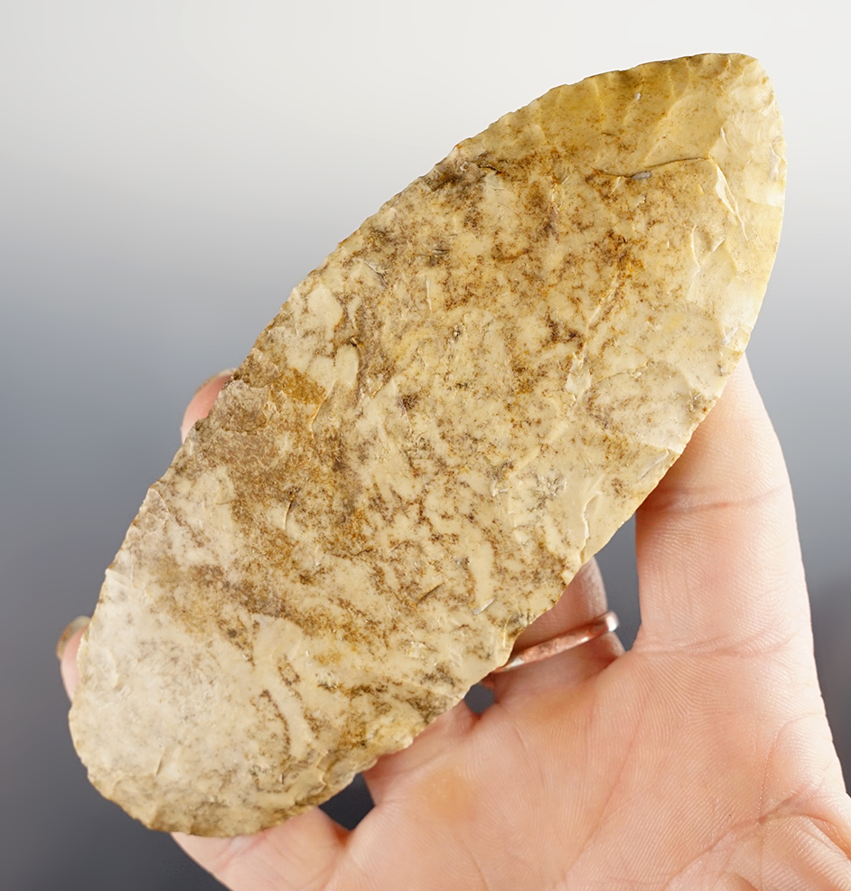 Large 4 15/16" Archaic Blade found in Indiana. Ex. Dana Staley. Comes with a Bennett COA.