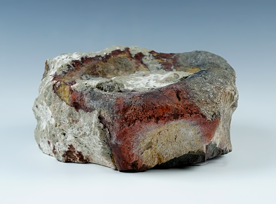 Jurassic Sauropod Vertebrae Fossil that is 158-155 million yrs old. Morrison Formation, Colorado. 