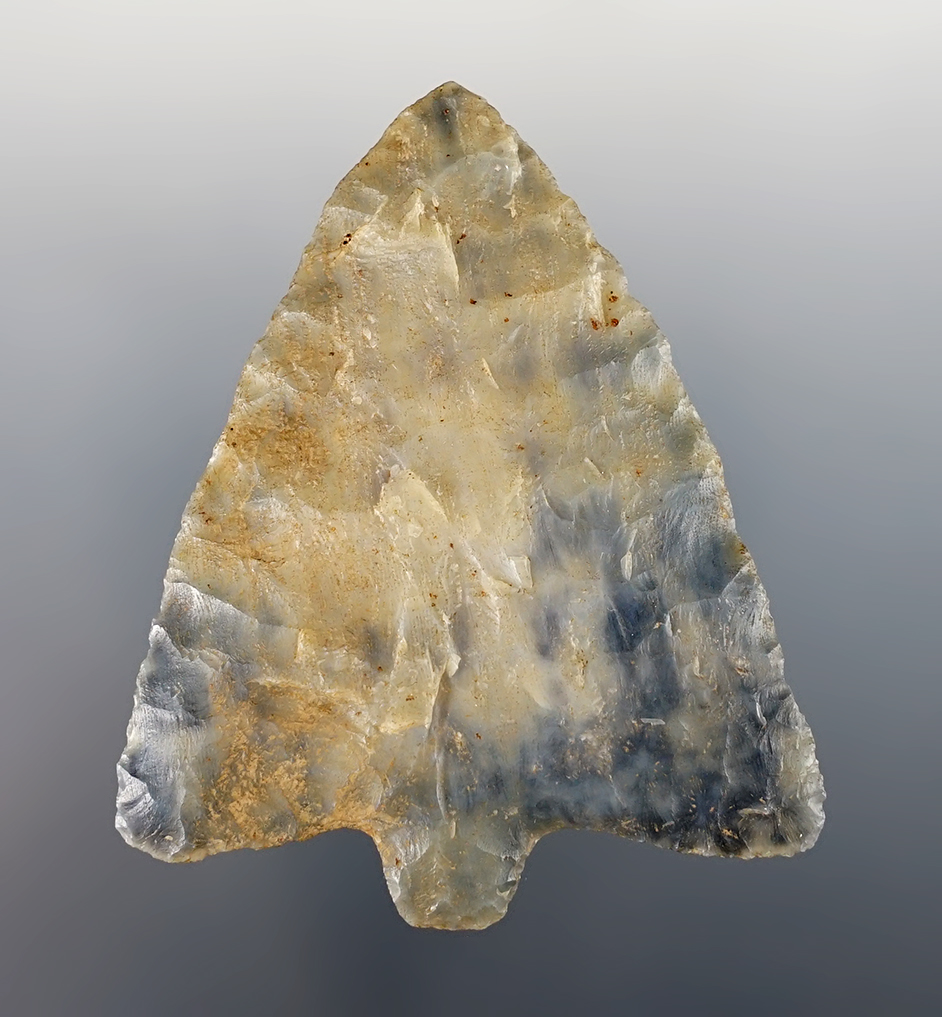 Fine 2 5/8" Hillsborough found in Alachua Co., Florida. Made from beautiful agatized Coral. COA.