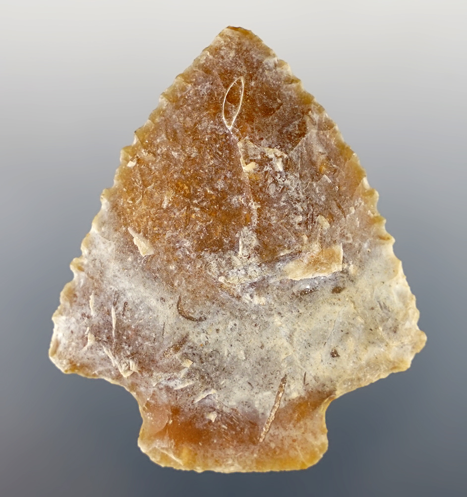 2 3/16" Florida Wacissa that is nicely made from heat treated agatized Coral. Bennett COA.