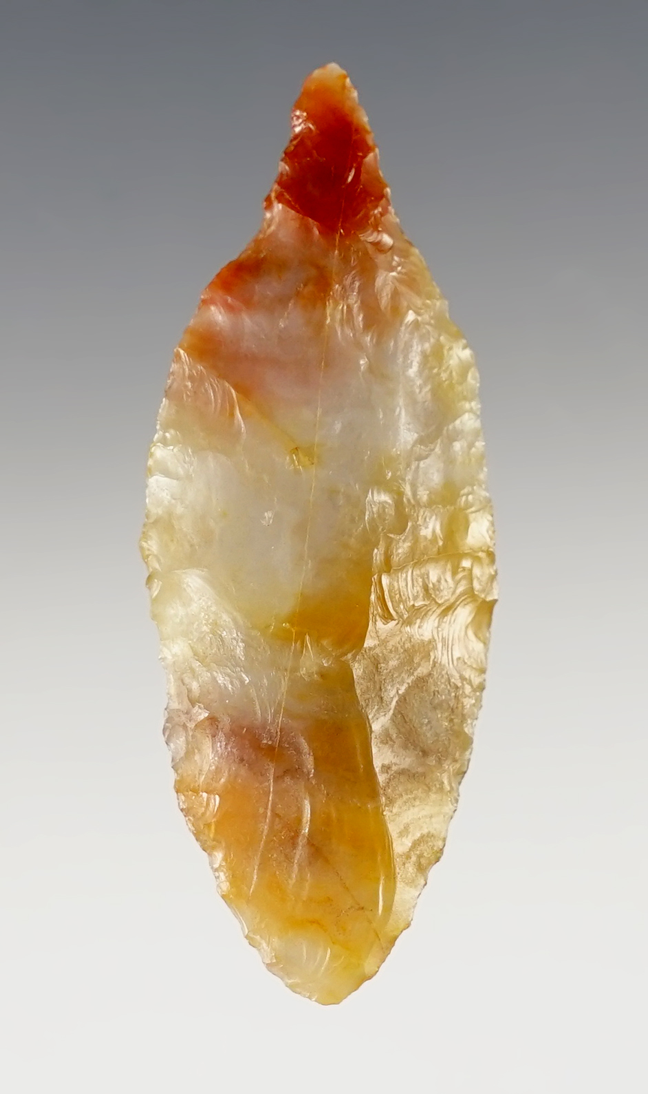 Highly colorful 2 3/16" Cascade with a Perforator tip. Washington/Oregon. Ex. Norma Berg.