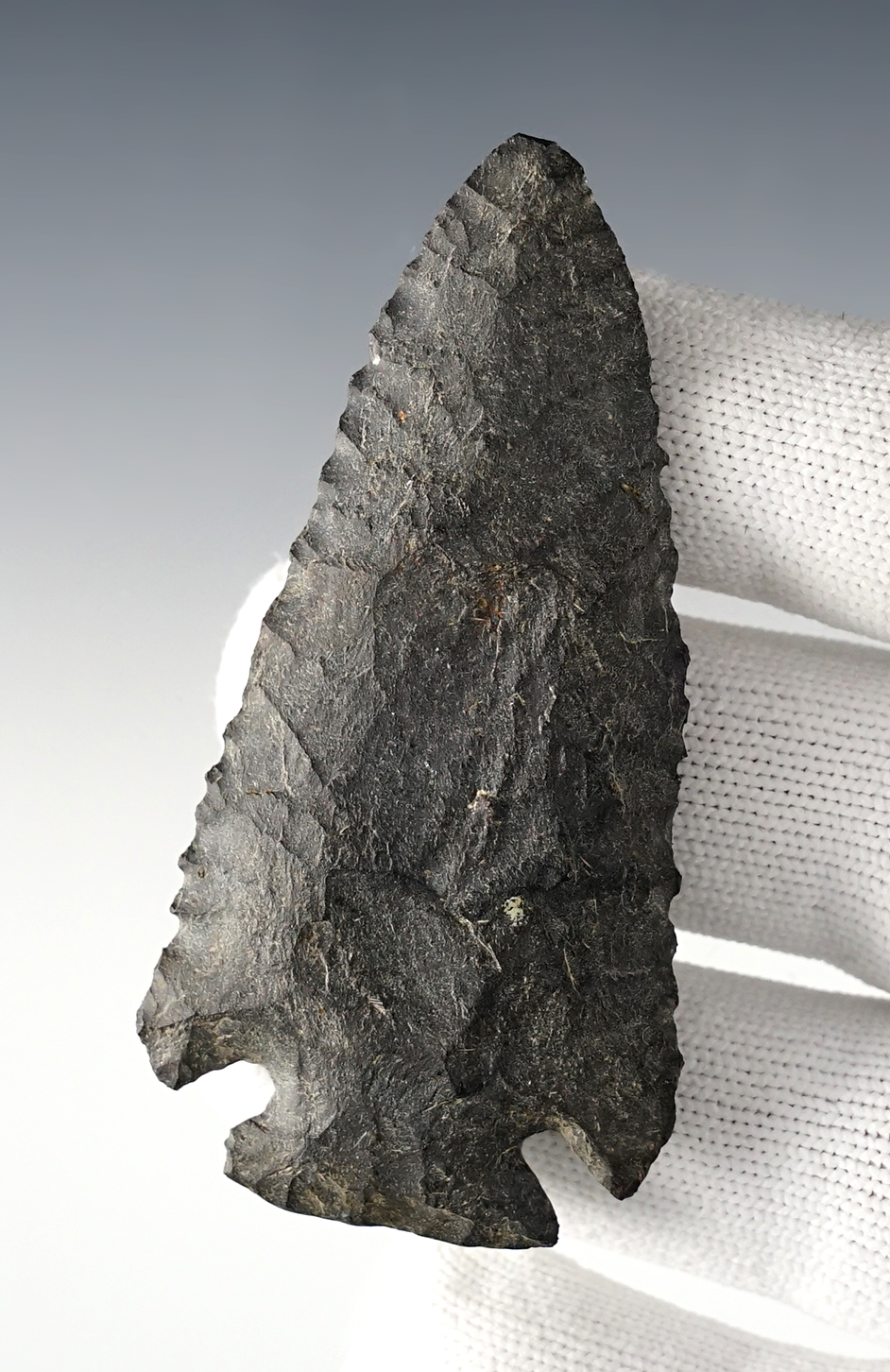 3 1/8" Archaic Cornernotch with a heavily ground base.  Mason Co., West Virginia.