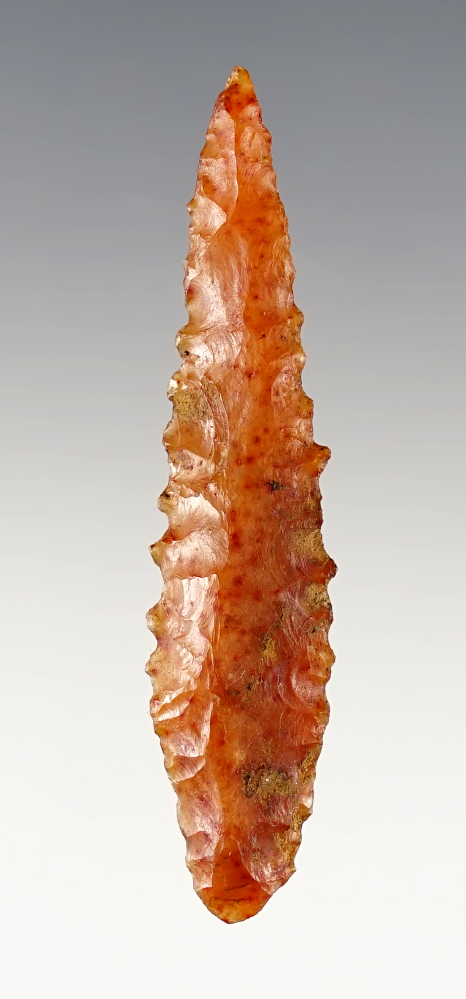 2 1/8" serrated Cascade that is finely made.  Washington/Oregon area.