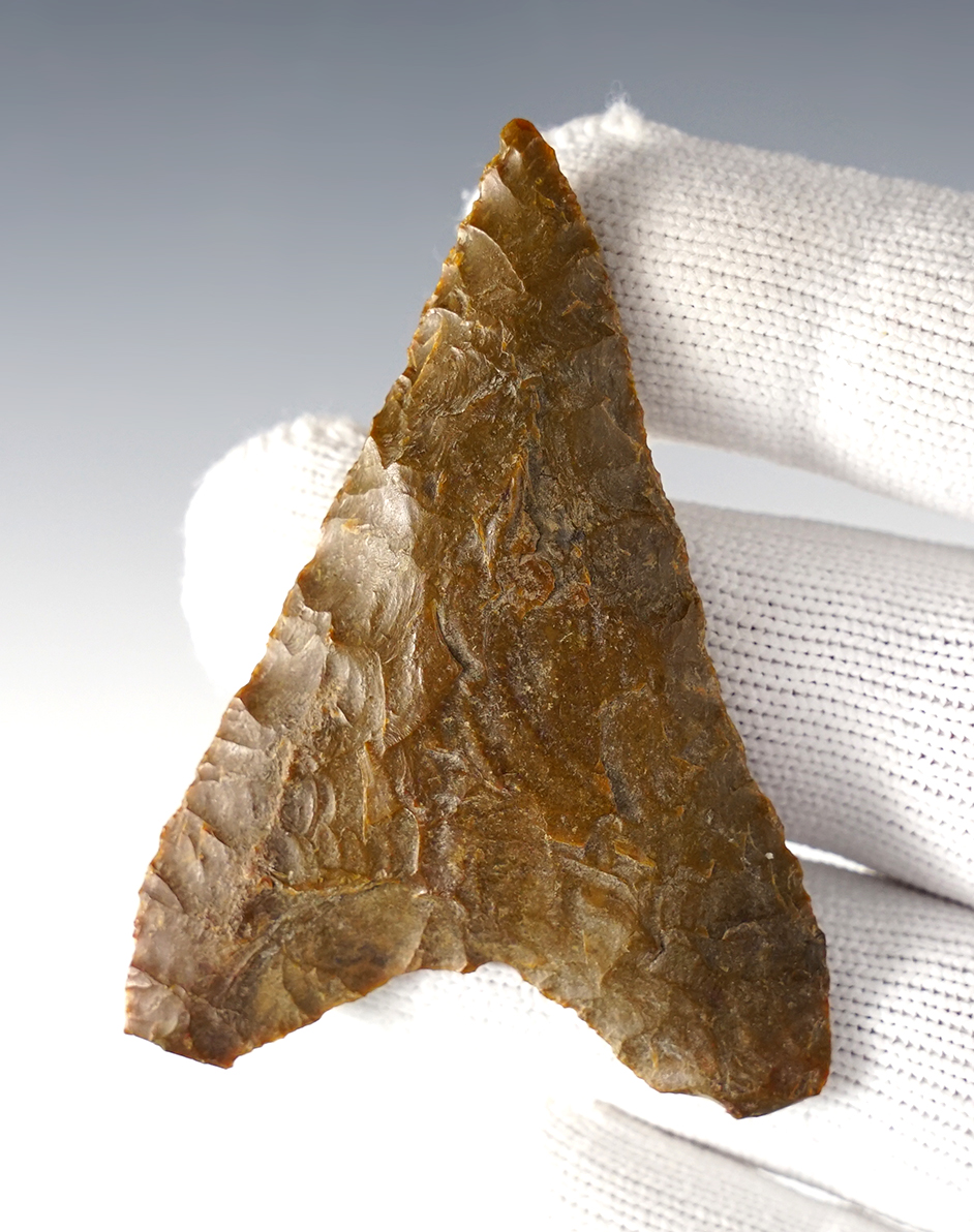 Fantastic 2 15/16" Columbia Mule Ear in excellent condition. Washington/Oregon. Ex. Berg.